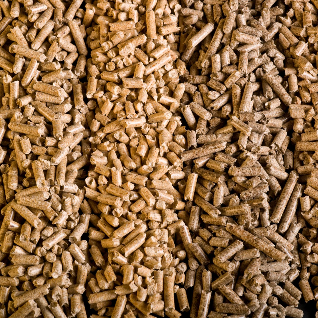 ANIMAL FEED